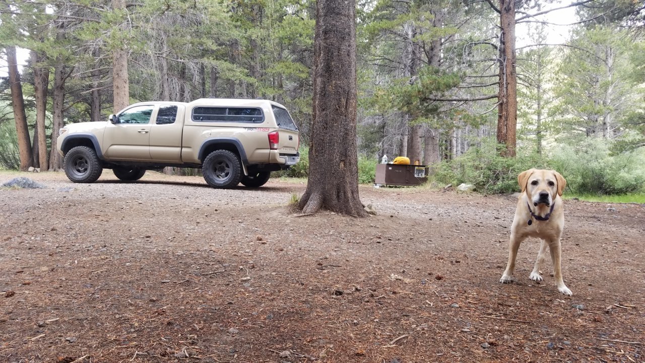 20190904_143449.jpg