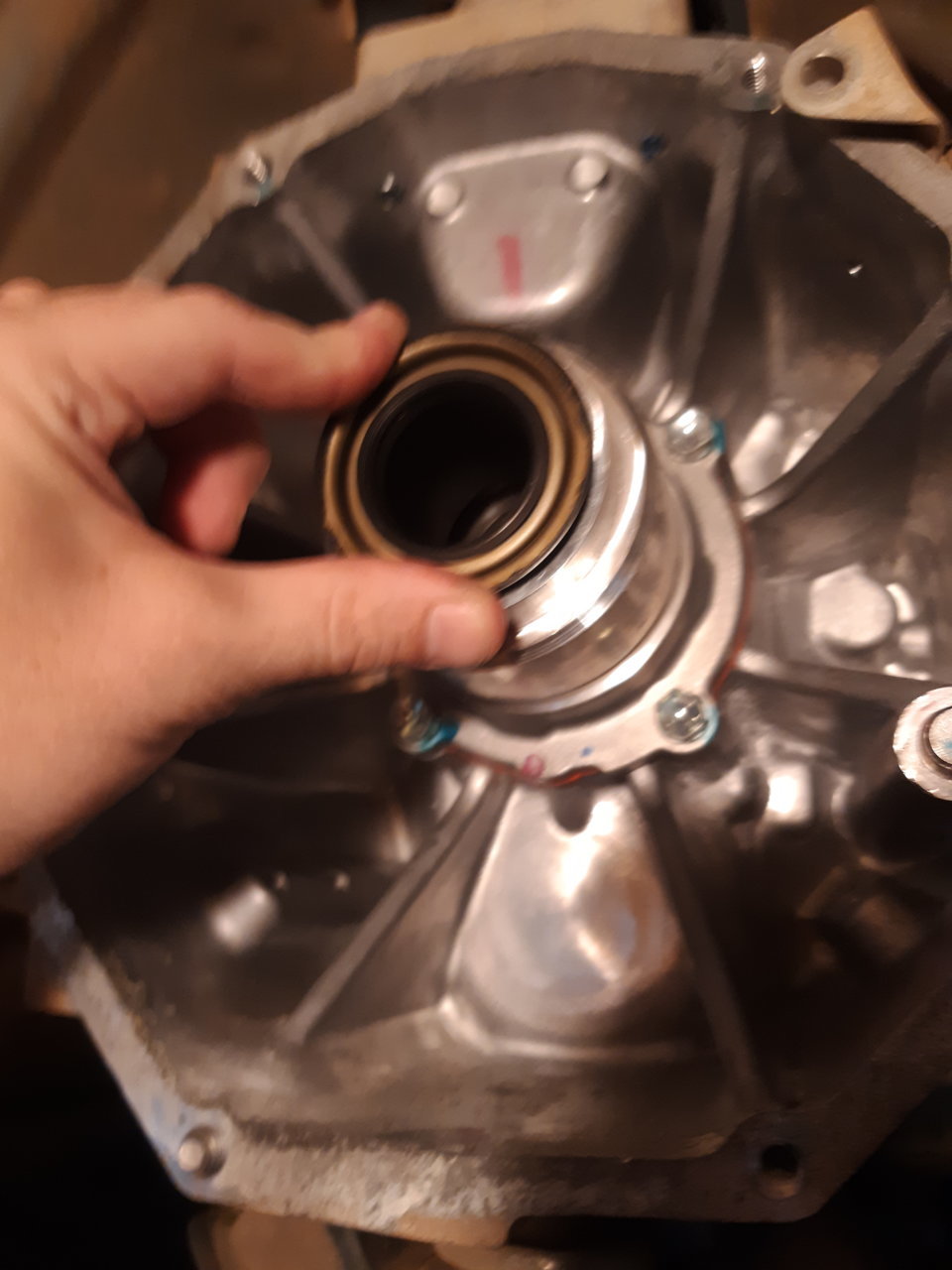 20190904_174224.jpg