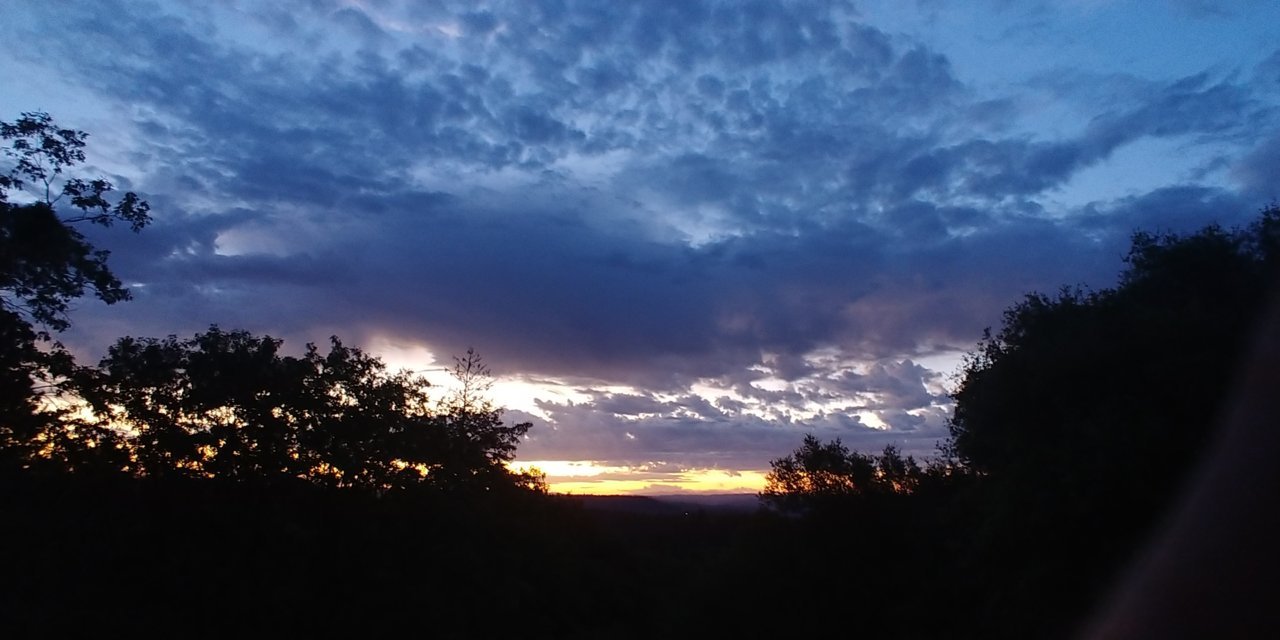 20190905_061951.jpg