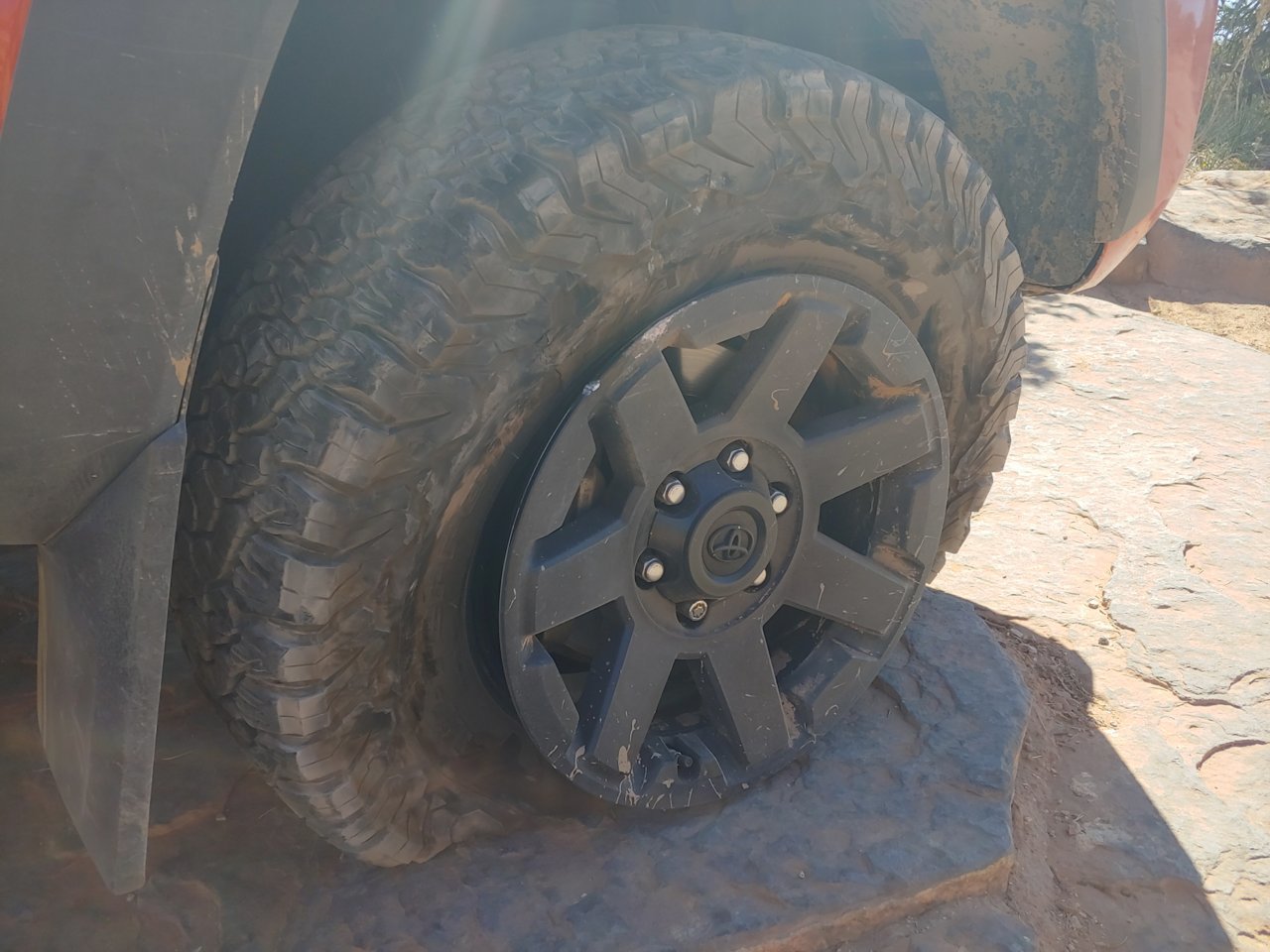 20190905_123107_HDR.jpg