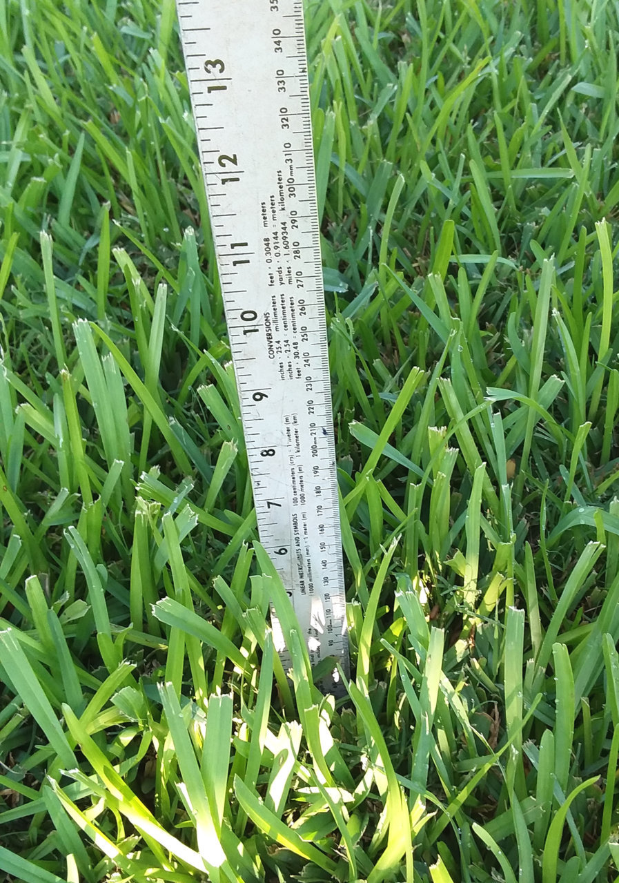 20190906_090527 1.jpg