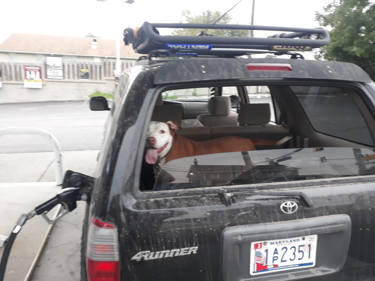 20190906_183716.jpg