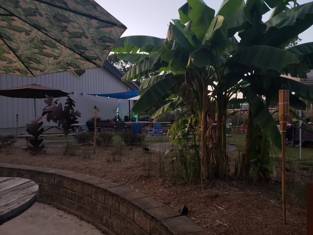 20190906_195323.jpg