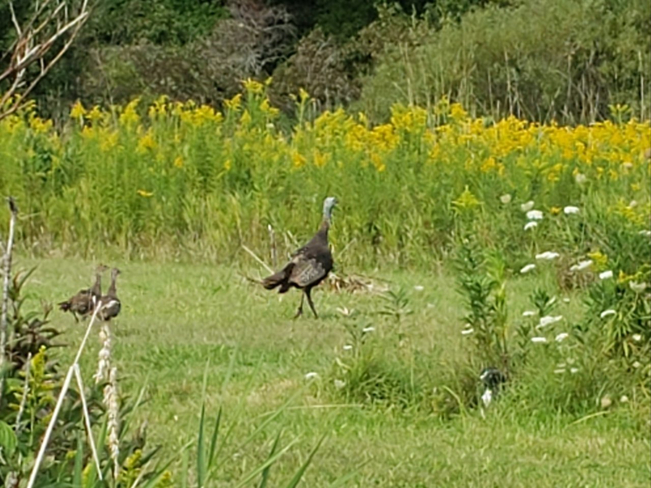 20190906_215555.jpg