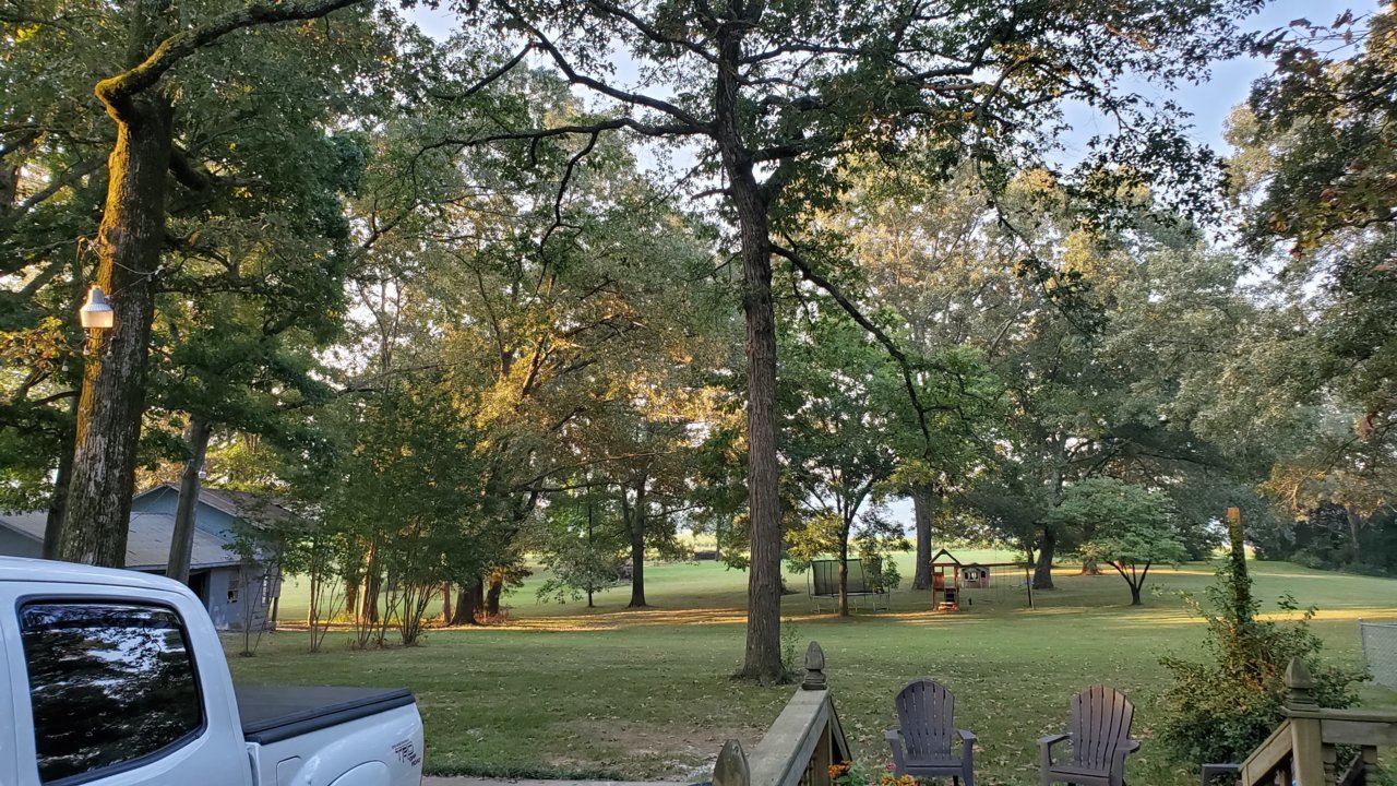 20190907_071557.jpg