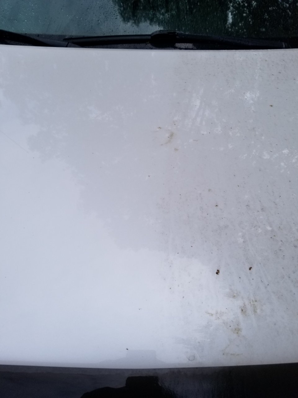 20190907_115006.jpg