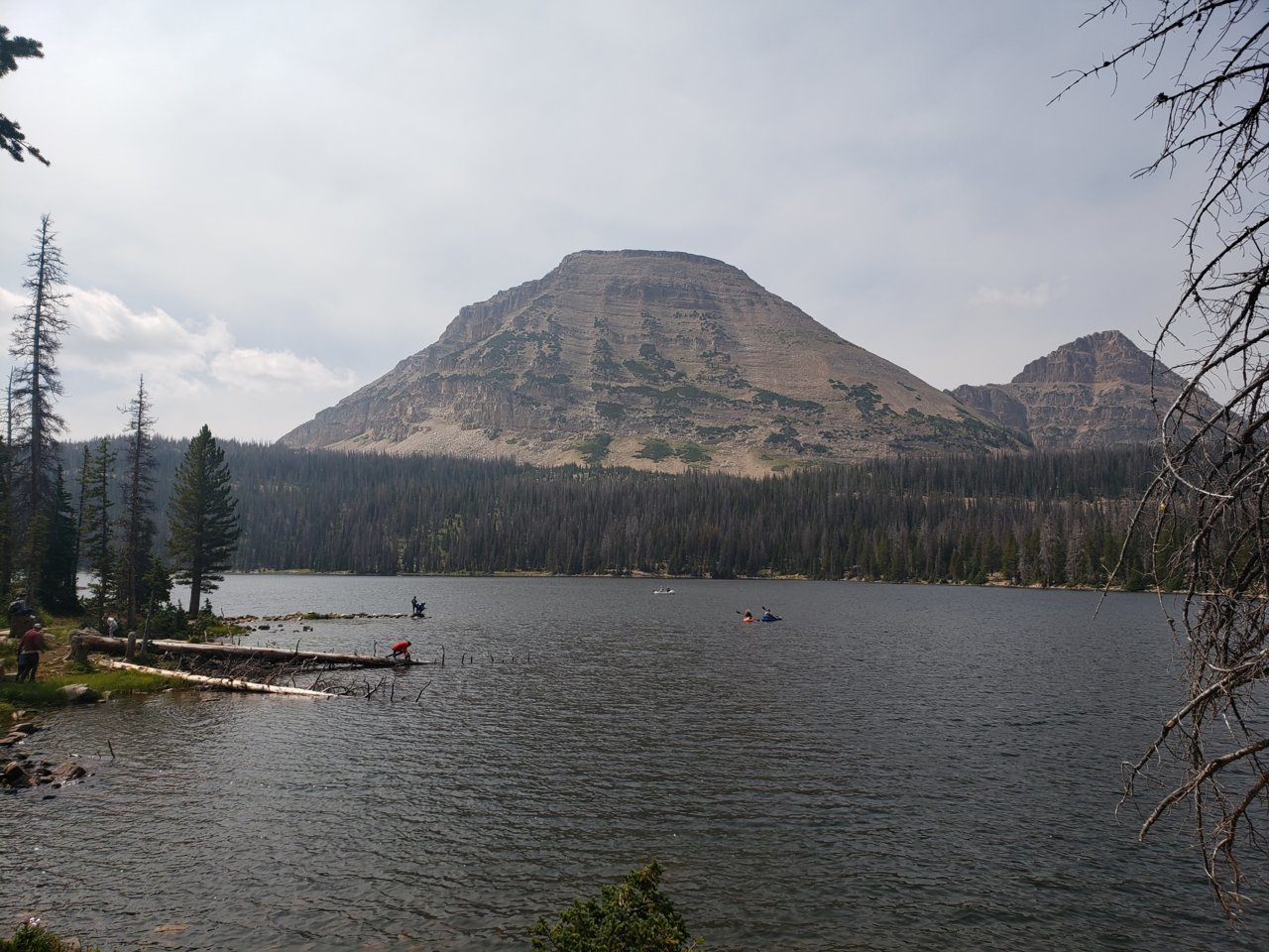 20190907_130906.jpg