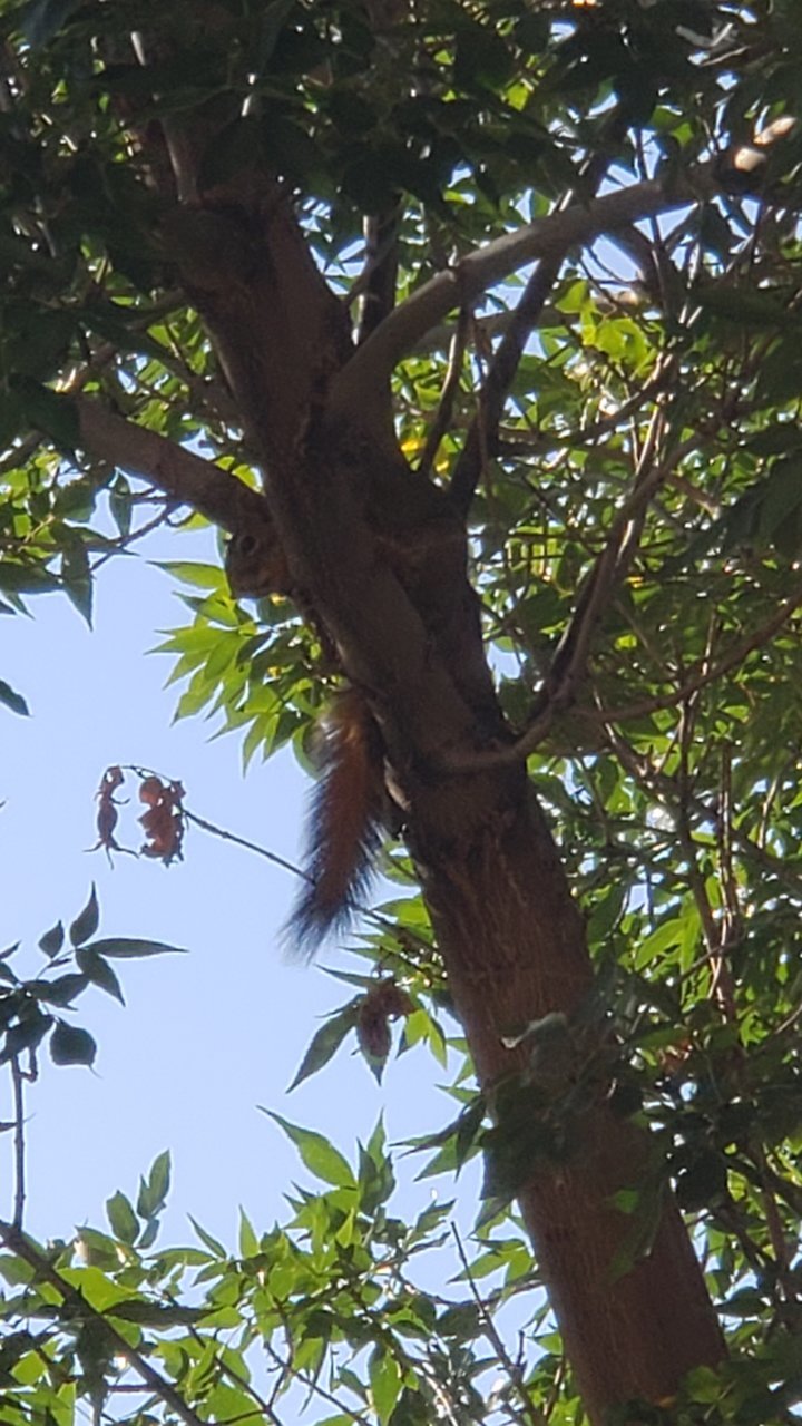 20190907_173458.jpg
