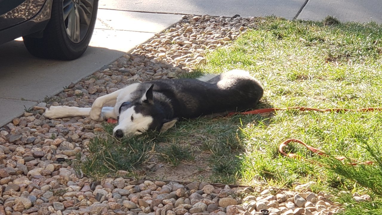 20190907_173739.jpg