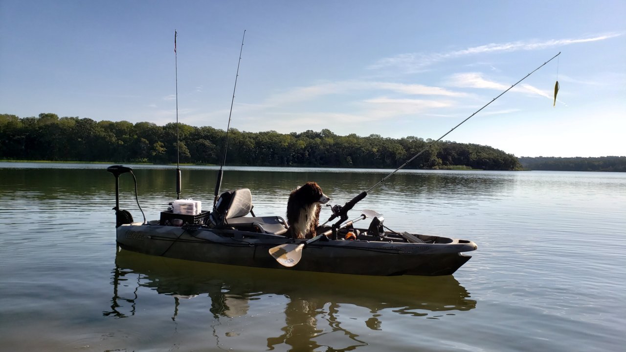 20190908_085309.jpg