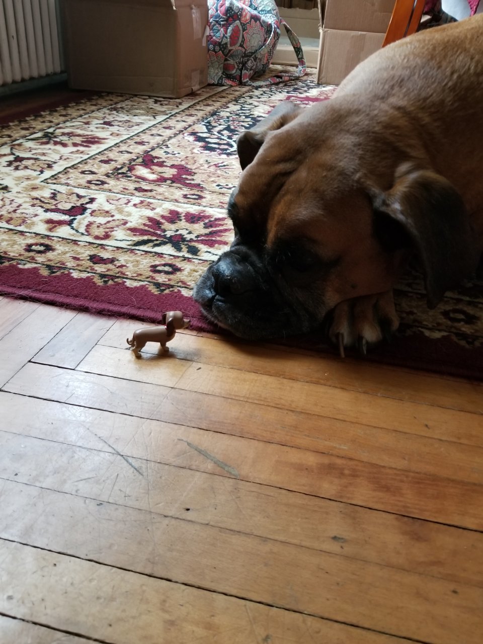20190908_093240.jpg