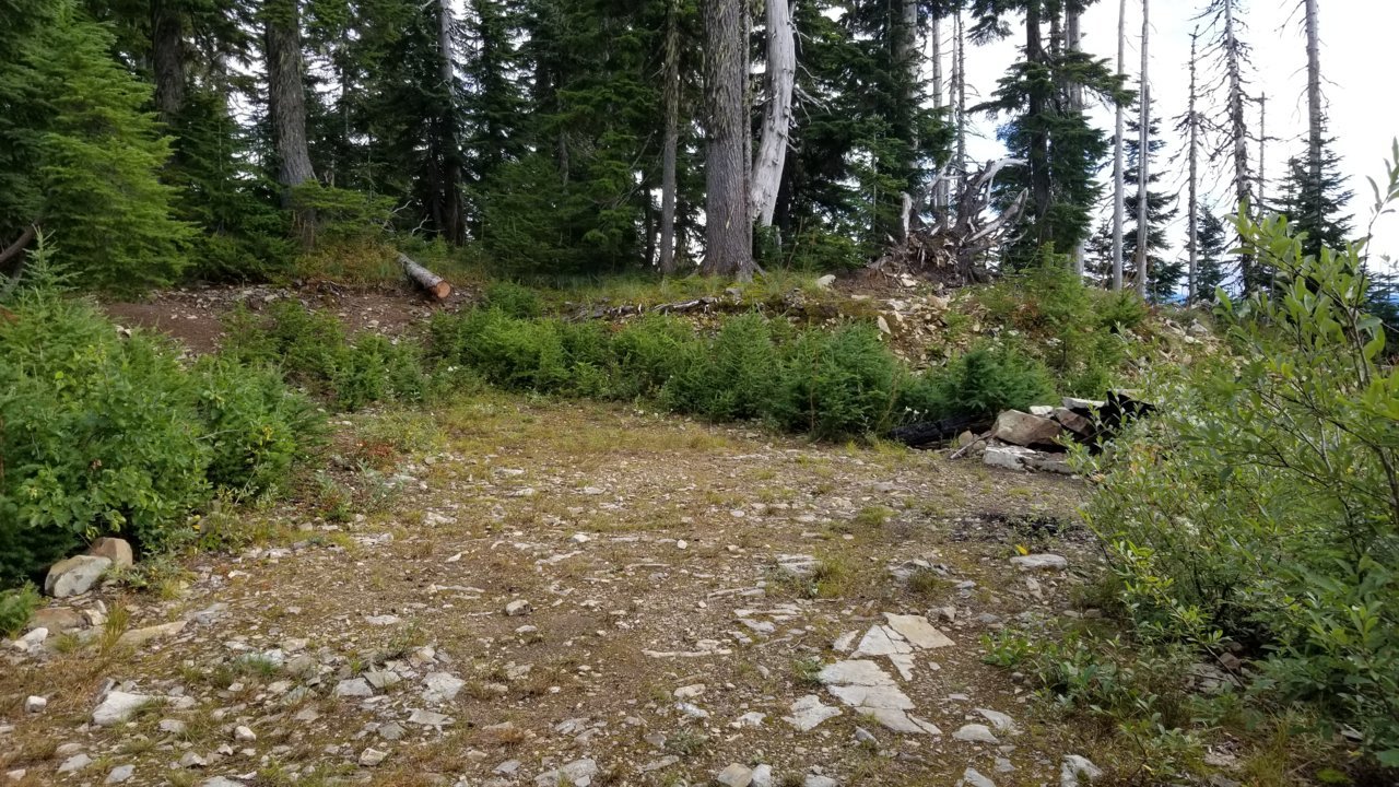 20190908_154019.jpg