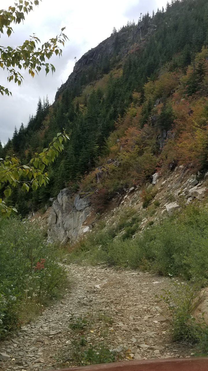 20190908_161518.jpg
