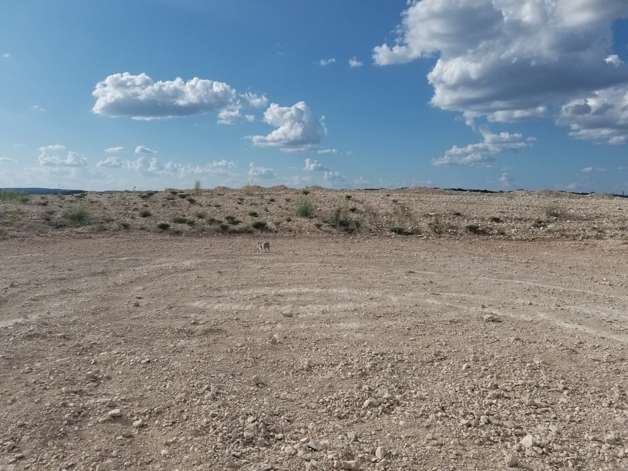 20190908_173245.jpg