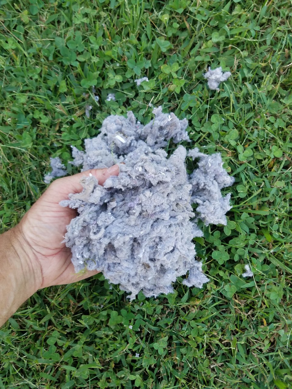 20190909_132014.jpg
