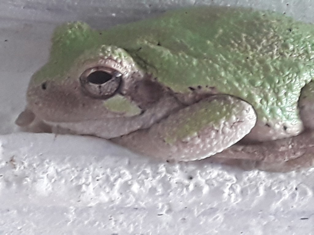 20190909_144942.jpg