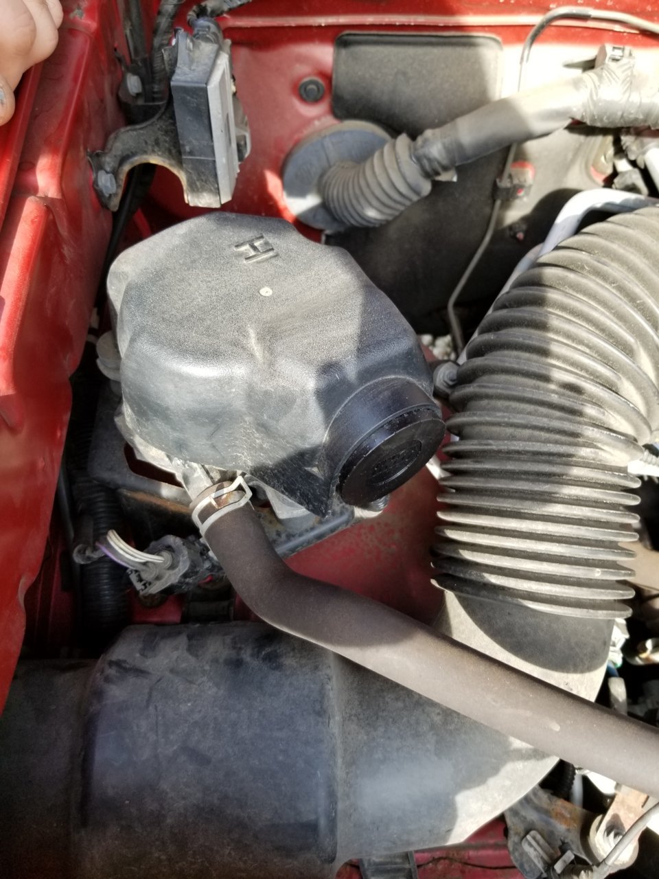 20190910_101526.jpg