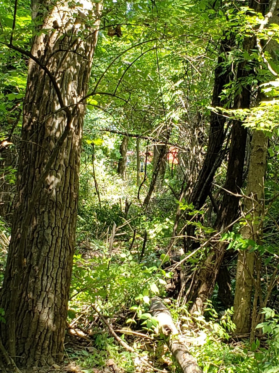 20190910_125738.jpg