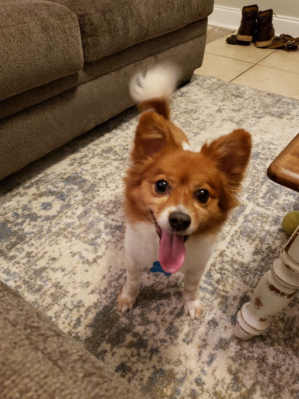 20190910_205452.jpg