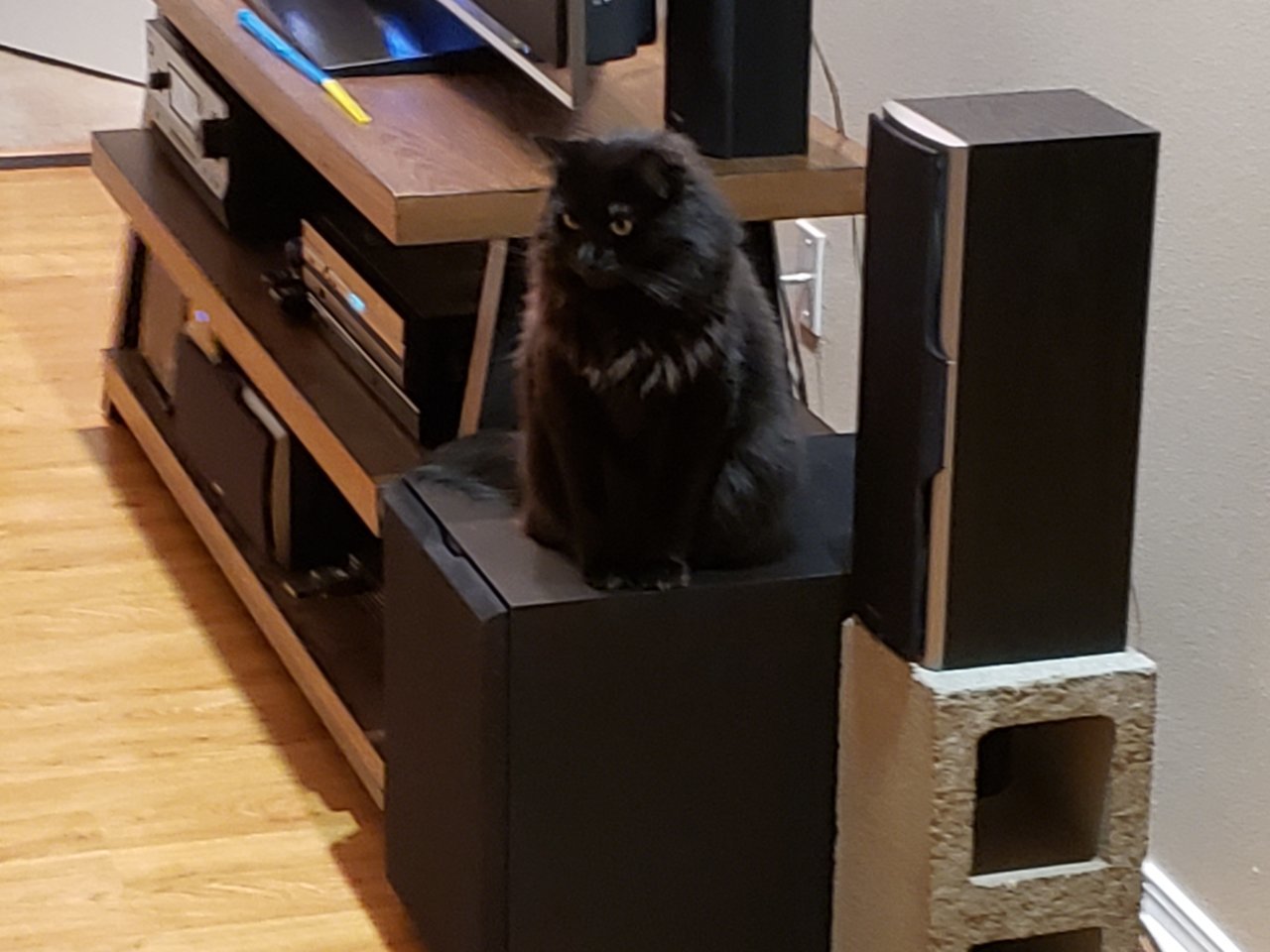 20190910_224451.jpg