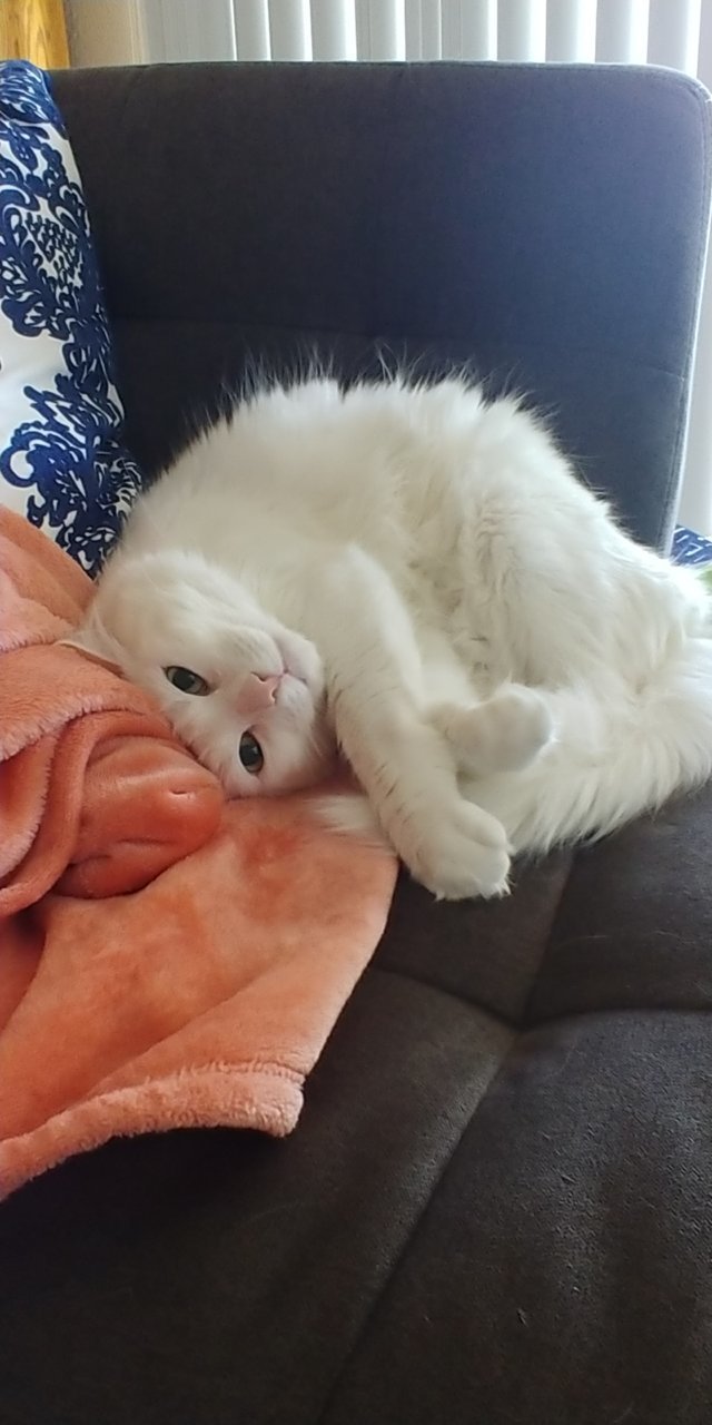 20190911_124149.jpg