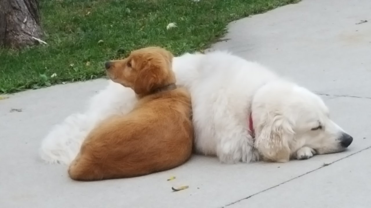 20190911_183010.jpg