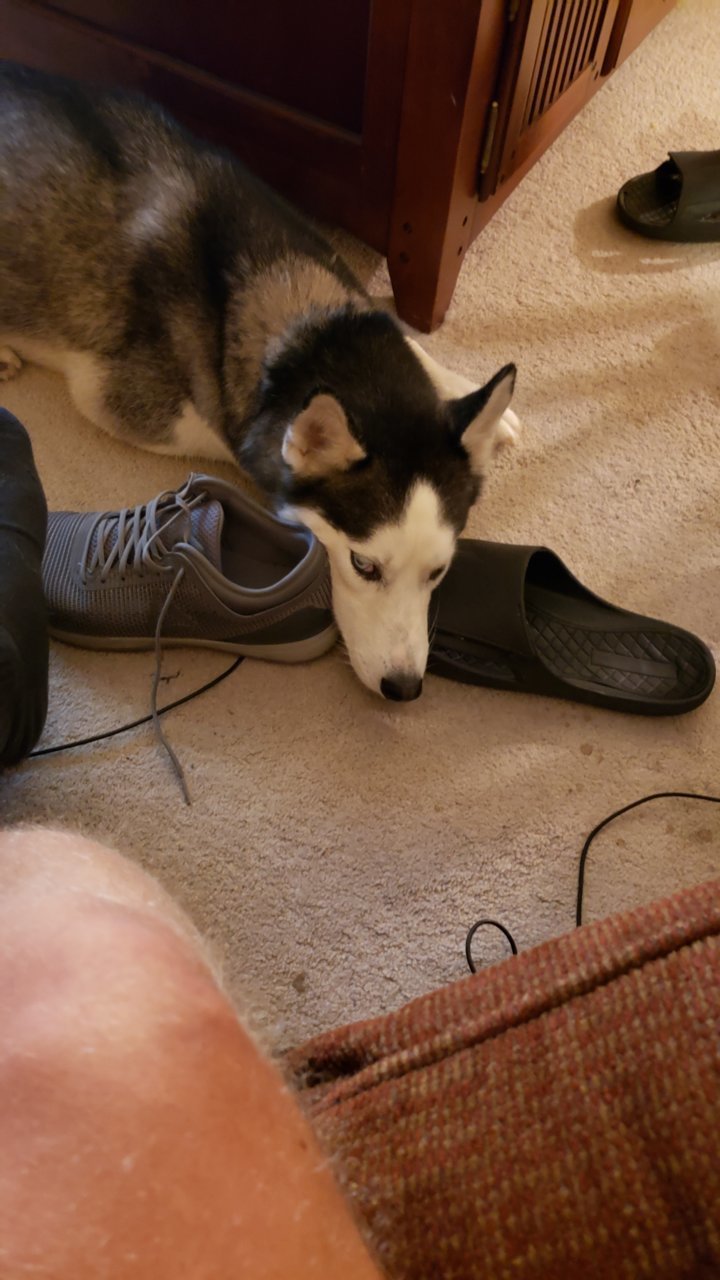 20190911_211813.jpg