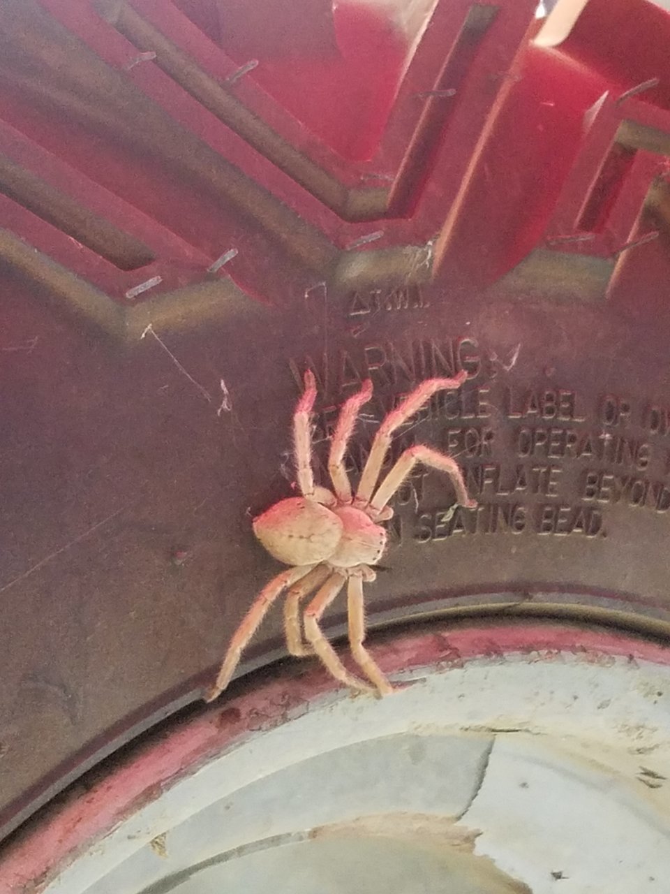 20190912_141215.jpg