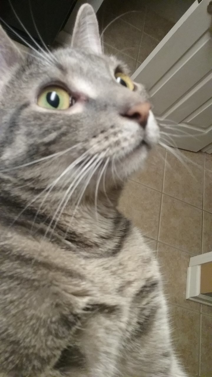 20190912_203238.jpg