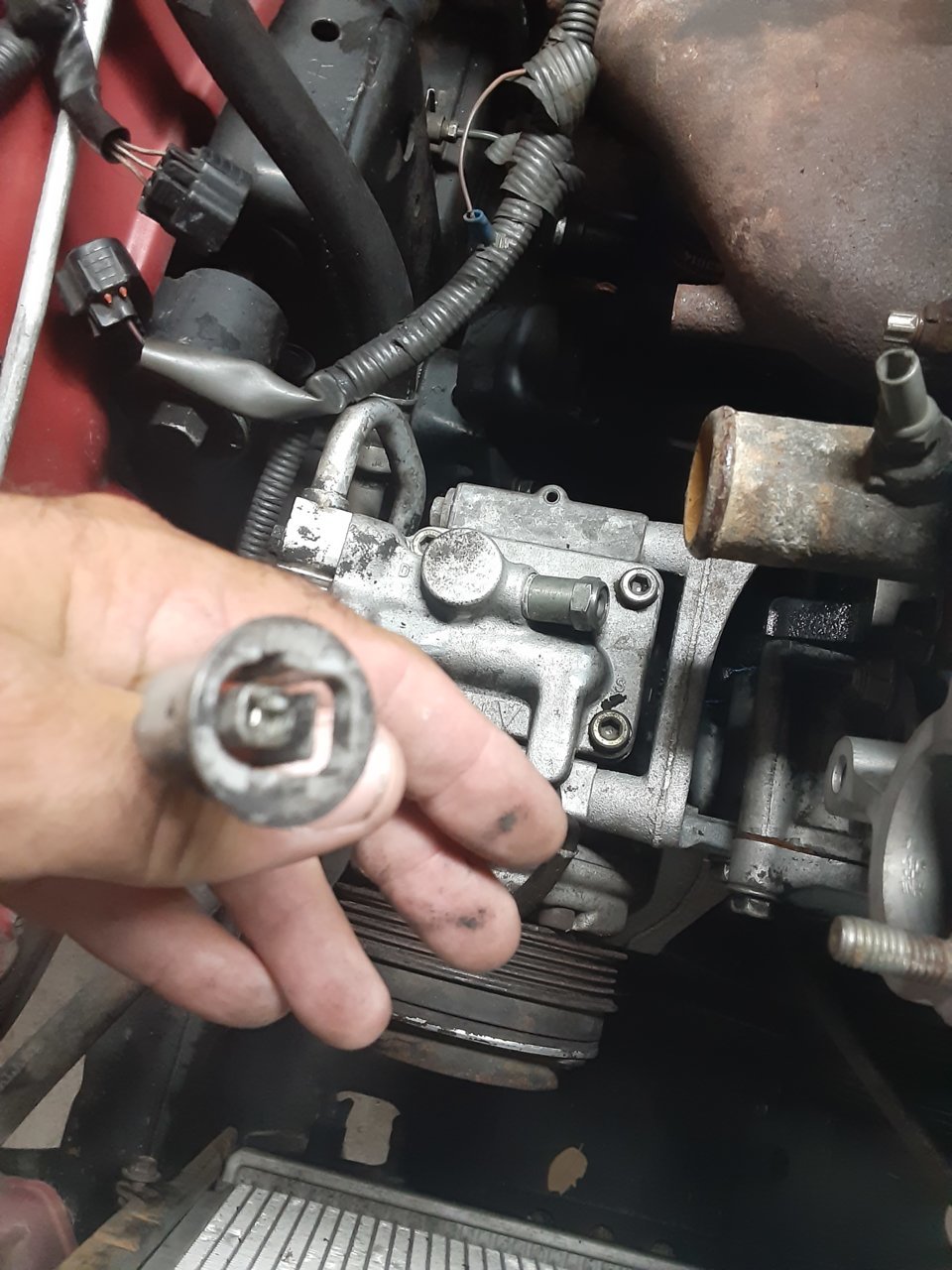 20190913_123449[1].jpg