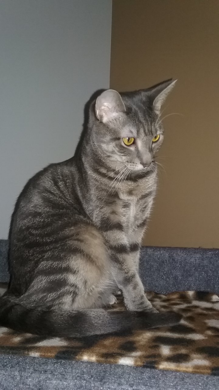 20190913_165934.jpg