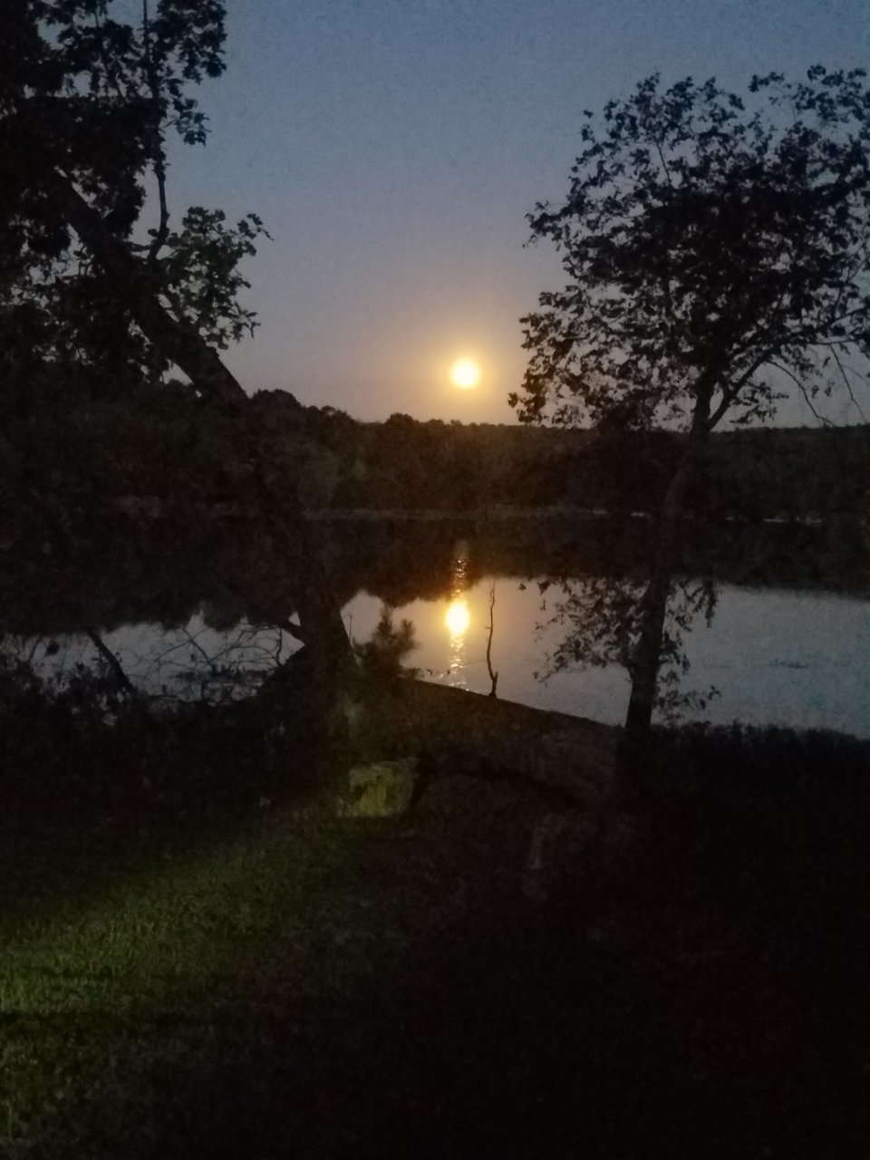 20190913_194142.jpg