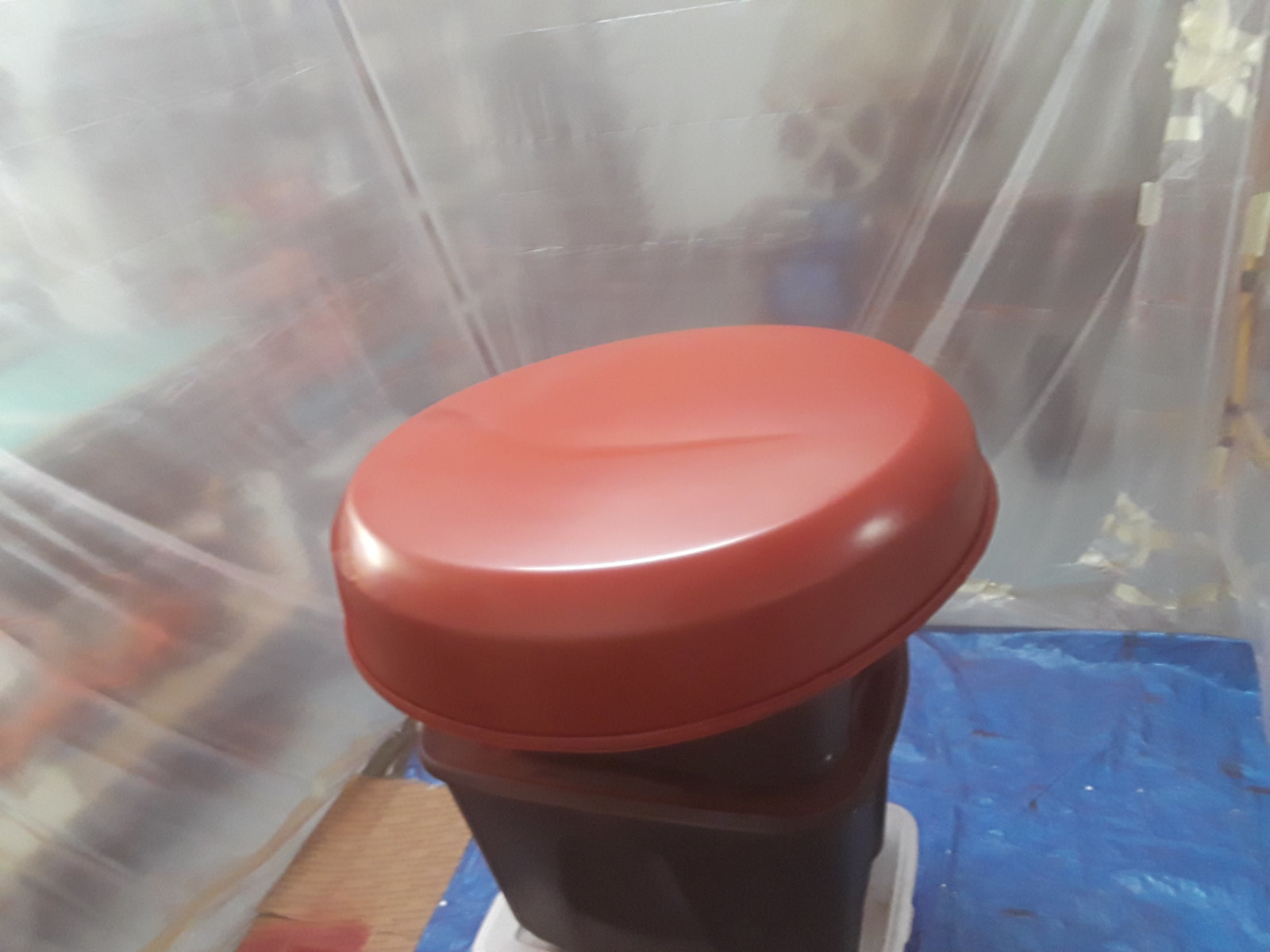 20190913_203603.jpg