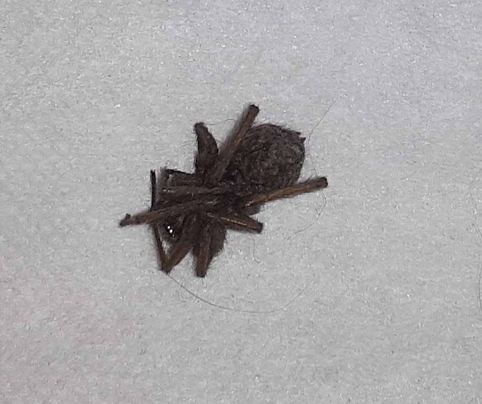 20190914_081144.jpg