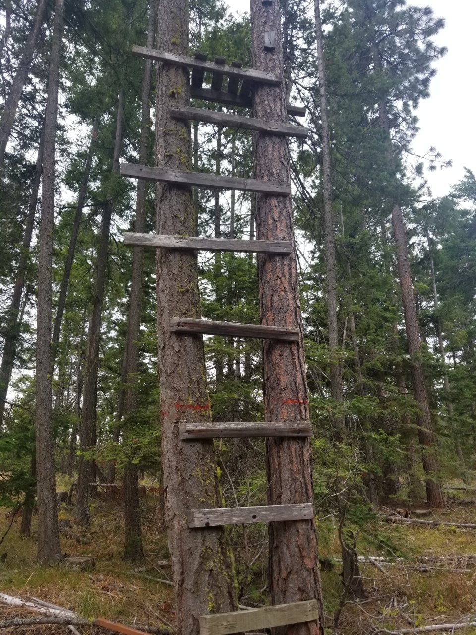 20190914_101510.jpg