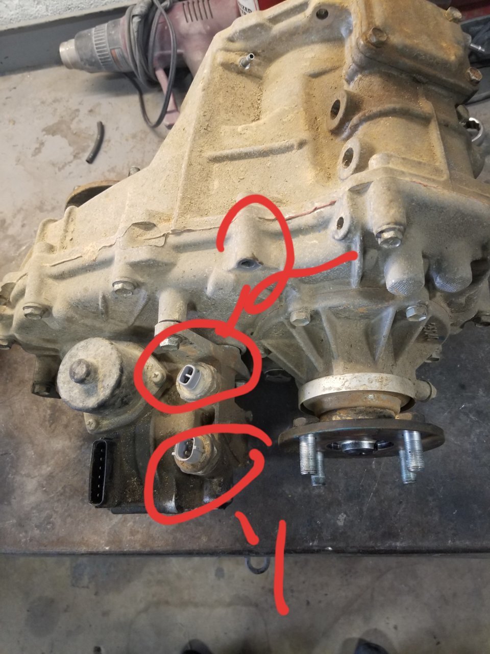 20190914_103138.jpg