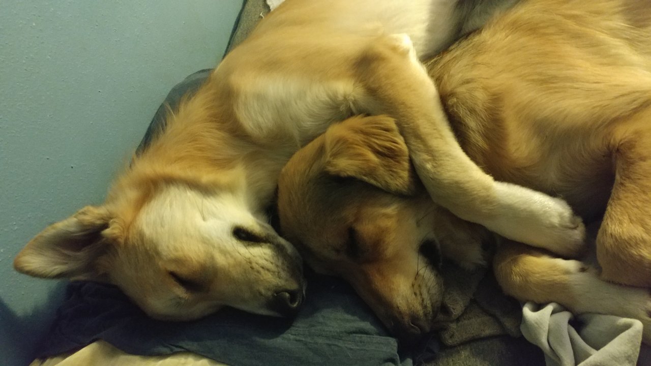 20190914_113742.jpg