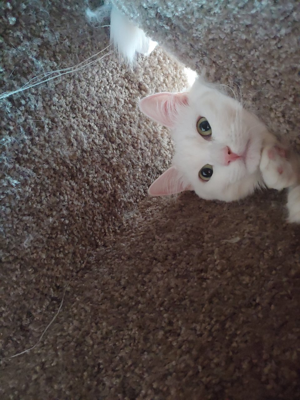 20190914_115653.jpg
