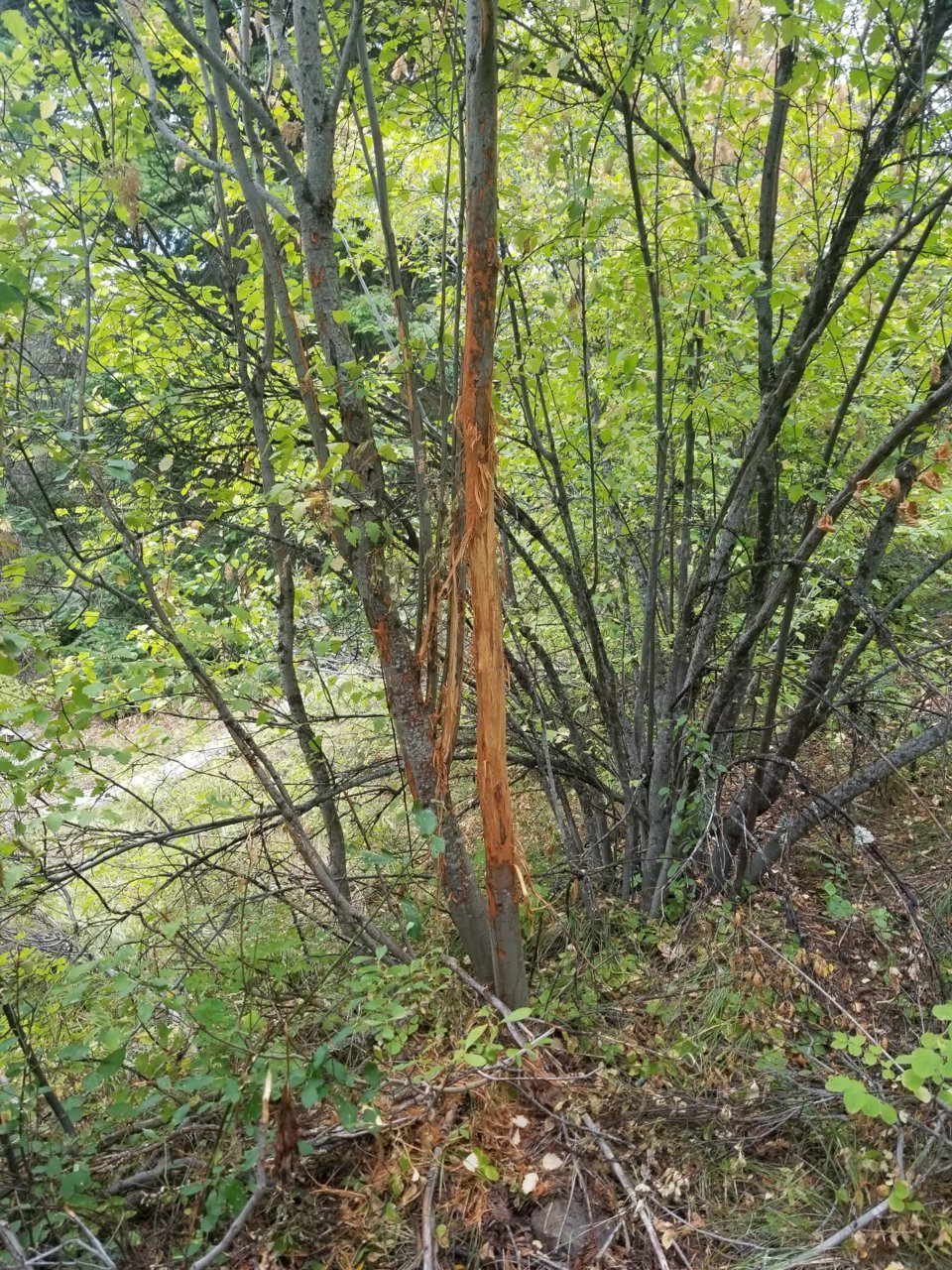 20190914_125554.jpg