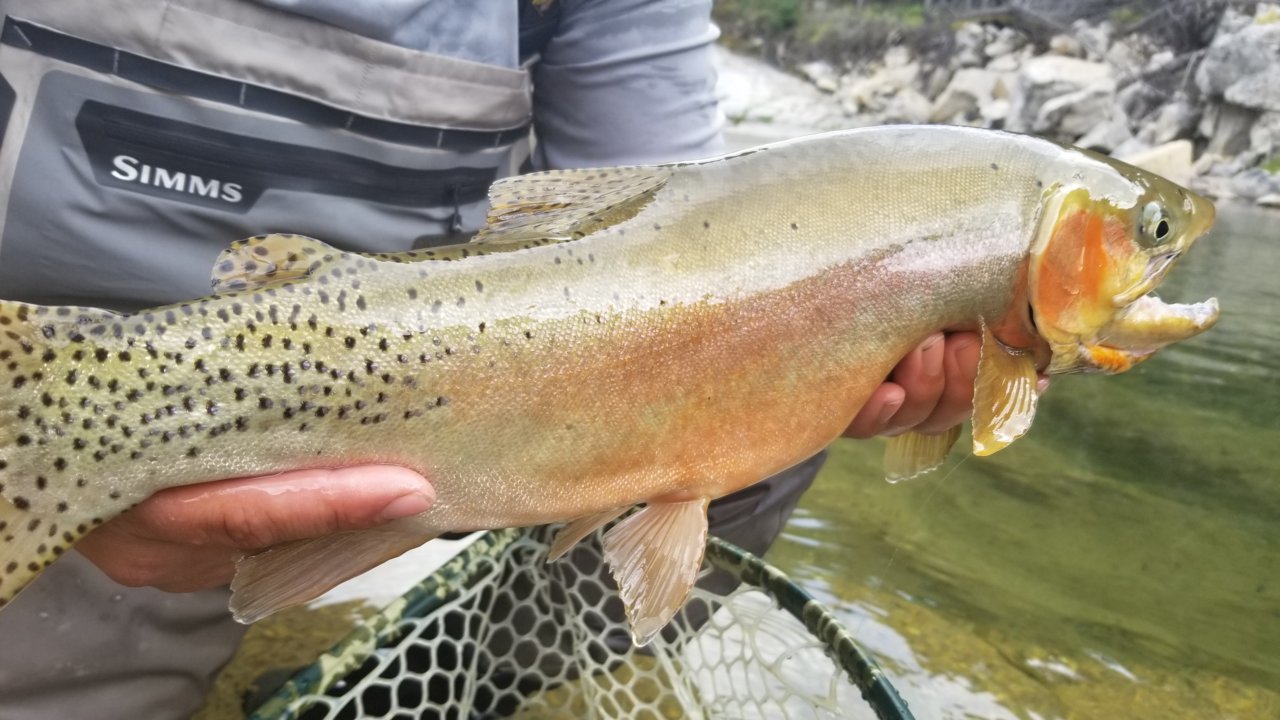20190914_170605.jpg