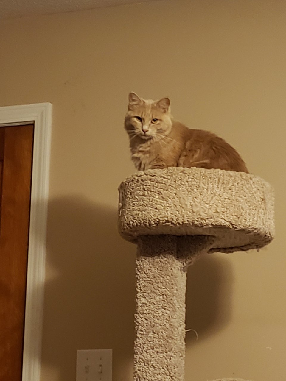 20190914_230802.jpg