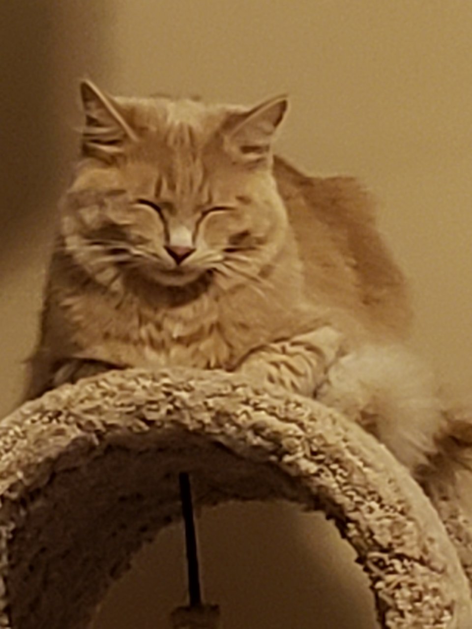 20190914_231817.jpg