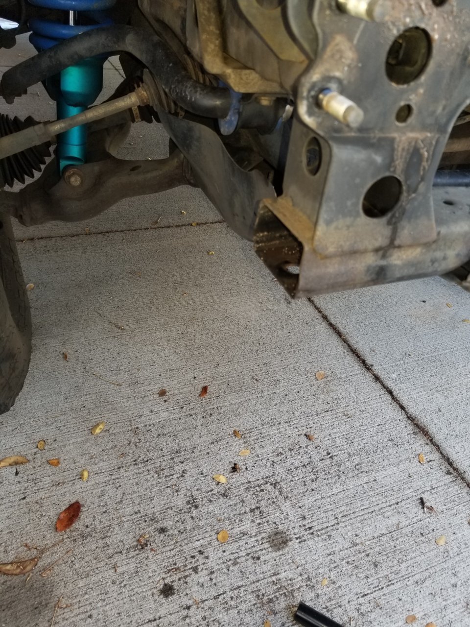 20190915_081639.jpg