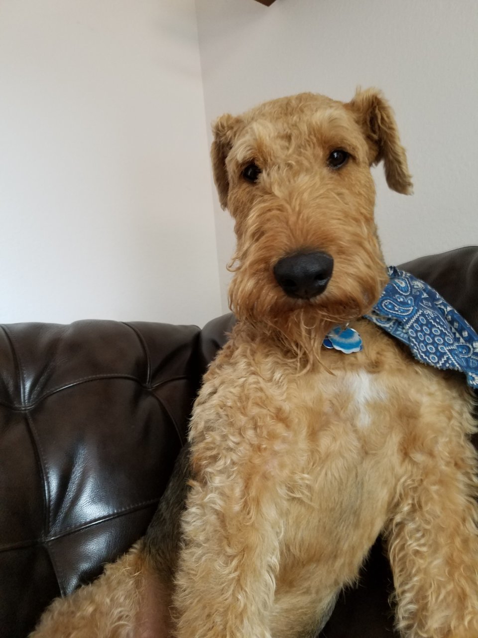 20190915_102014.jpg