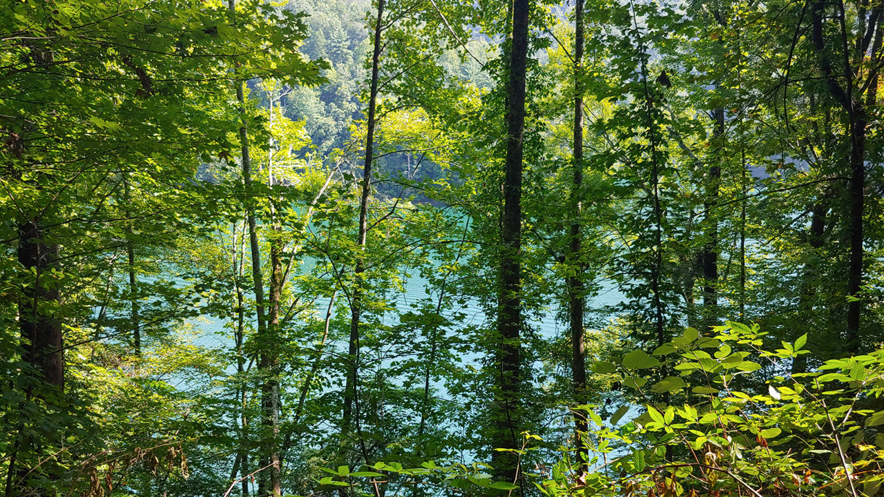 20190915_114510.jpg