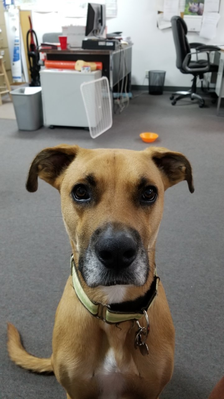 20190915_120149.jpg