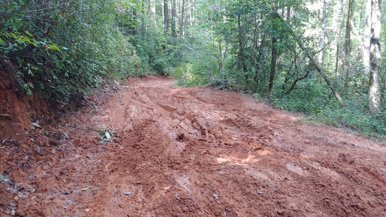 20190915_145637.jpg