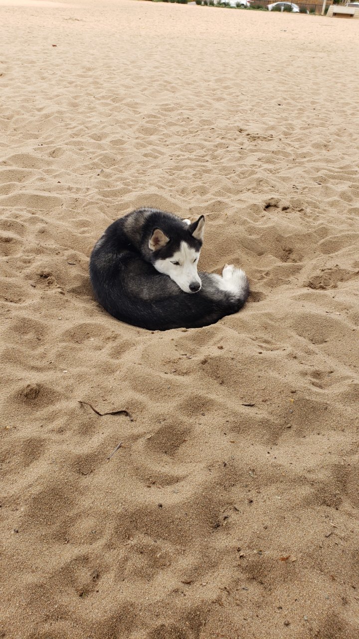 20190915_160710.jpg