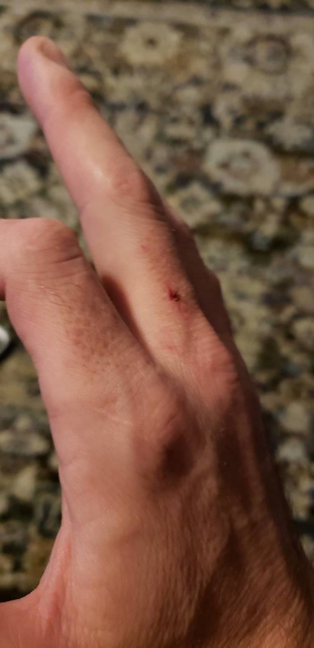 20190915_201041.jpg