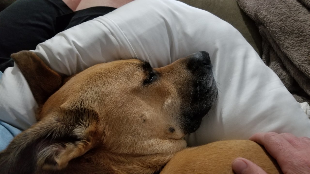 20190915_224234.jpg